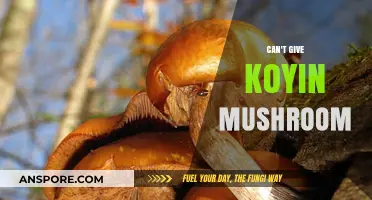 Why You Can't Give Koyin Mushrooms to Pets or People