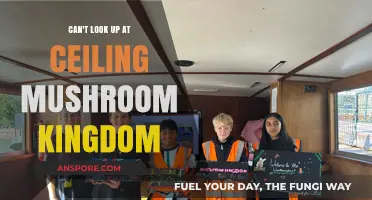 Why Can't You Look Up at the Ceiling in Mushroom Kingdom?