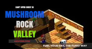 How to Open the Chest in Mushroom Rock Valley: A Guide