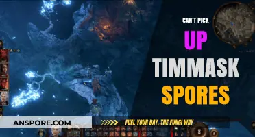 Struggling to Collect Timmask Spores? Here’s What You Need to Know