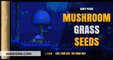 Troubleshooting Mushroom Grass Seeds: Why They Won't Grow and How to Fix It