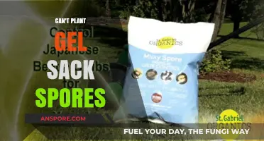 Why You Can't Plant Gel Sack Spores: Common Mistakes and Solutions