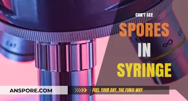 Why Spores Remain Invisible in Your Syringe: Common Causes Explained