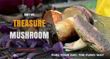 Why You Can't Spot the Elusive Treasure Mushroom in the Wild