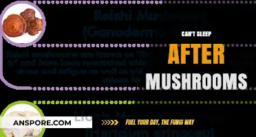 Post-Mushroom Insomnia: Understanding Sleep Disturbances After Psychedelic Experiences