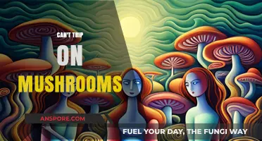 Why You Can't Trip on Mushrooms: Debunking Common Psychedelic Myths