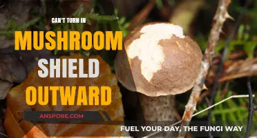 Fixing the Mushroom Shield: How to Turn It Outward Easily