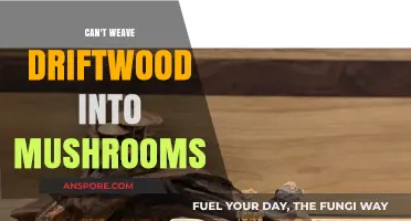 Why Driftwood Can't Be Woven into Mushrooms: Exploring Creative Limits
