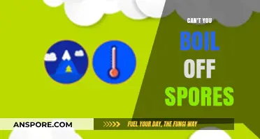Boiling Spores: Can You Really Eliminate Them Through Heat?
