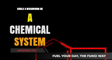 Mushrooms: Nature's Chemical Powerhouses