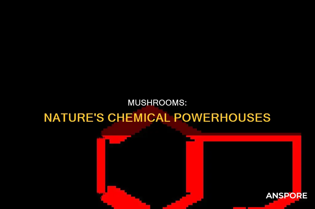 could a mushroom be a chemical system