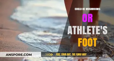 Identifying Foot Fungus: Athlete's Foot or Mushrooms?