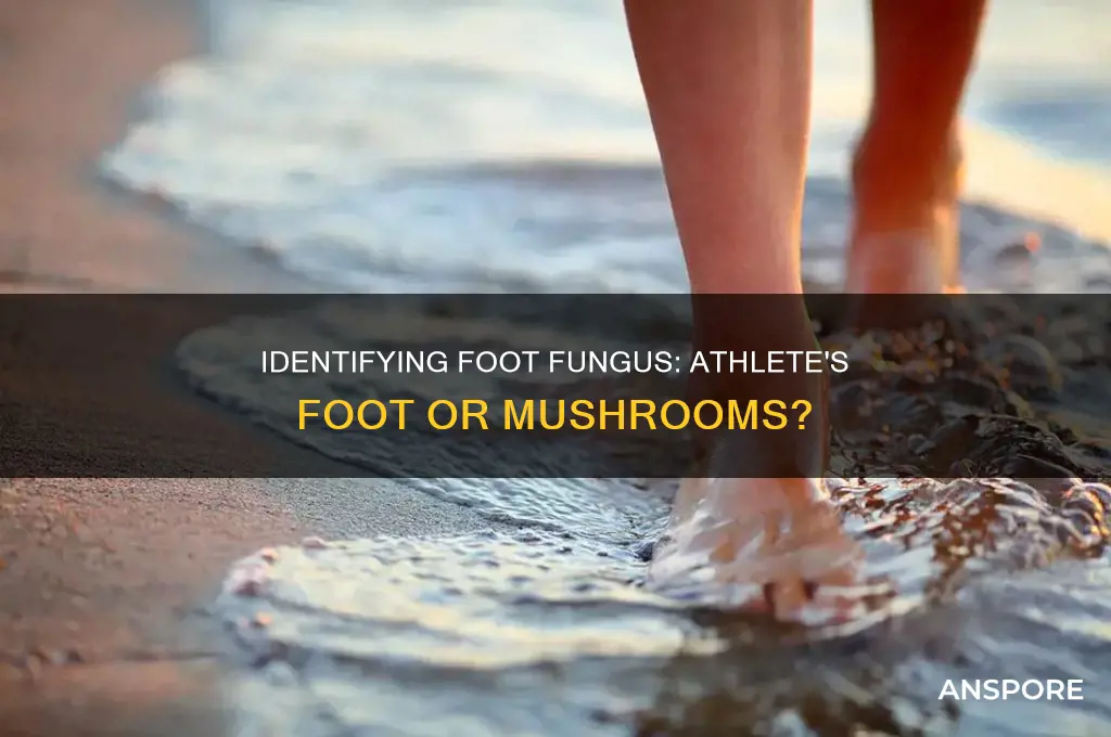 could be mushrooms or athlete