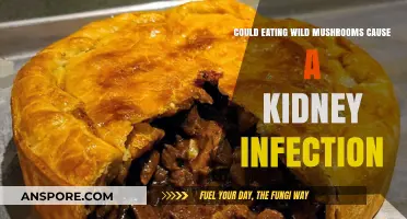 Wild Mushrooms and Kidney Health: Risks of Foraging Unidentified Fungi