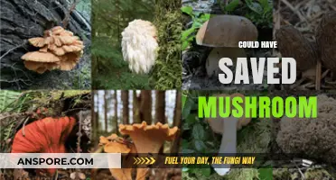How Mushrooms Could Have Been Saved?