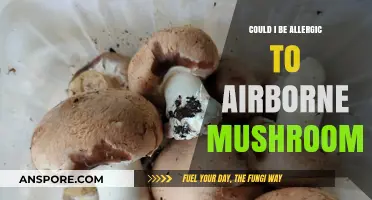 Mushroom Allergies: Airborne Threats and You