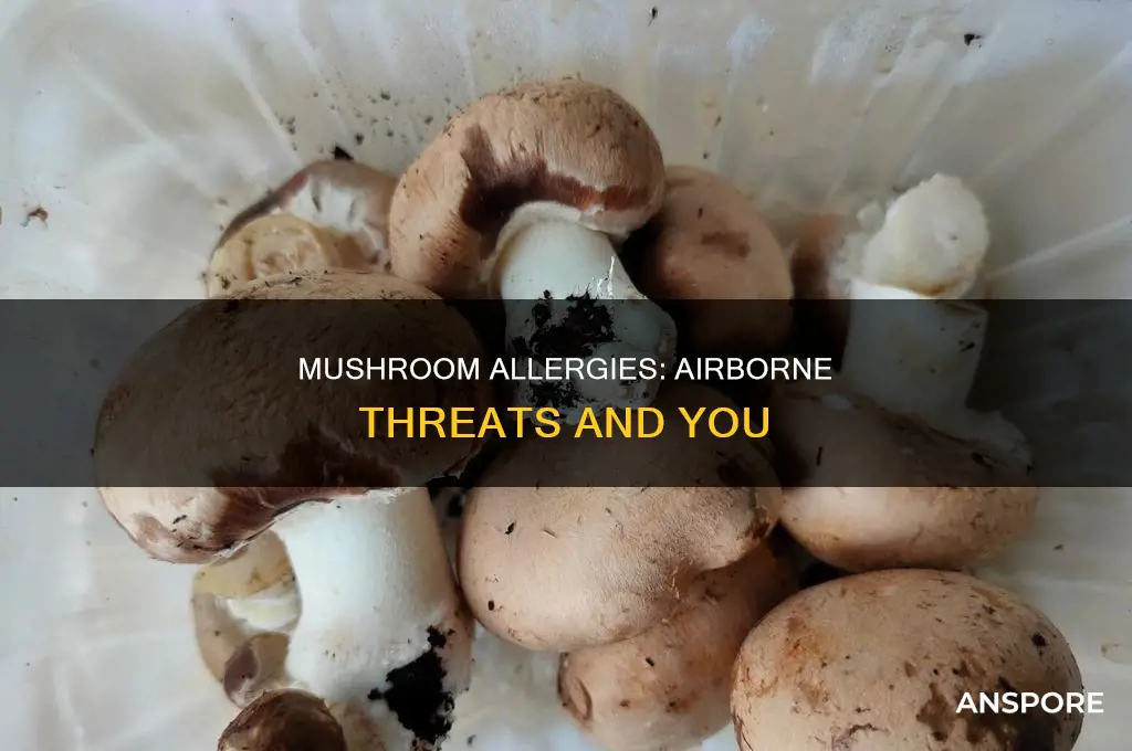 could i be allergic to airborne mushrooms