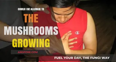 Could I Be Allergic to the Mushrooms Growing in My Home?