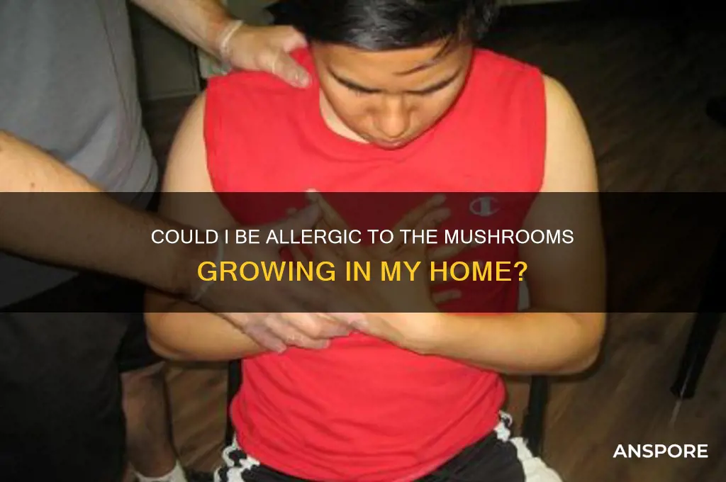 could i be allergic to the mushrooms growing