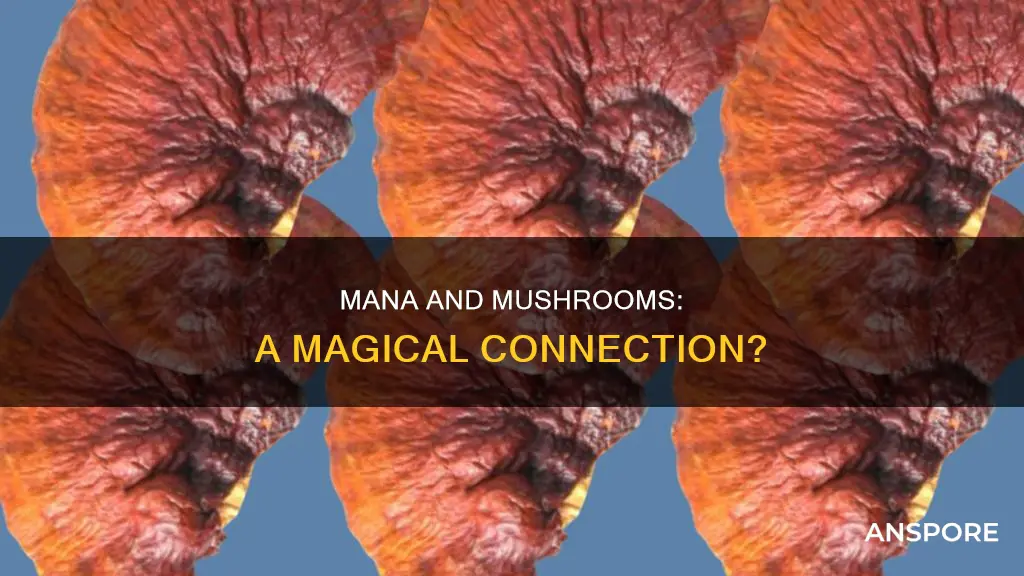 could mana be mushrooms