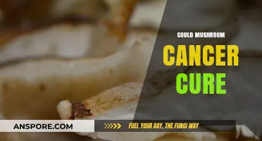 Mushroom Medicine: Cancer Cure or Hoax?