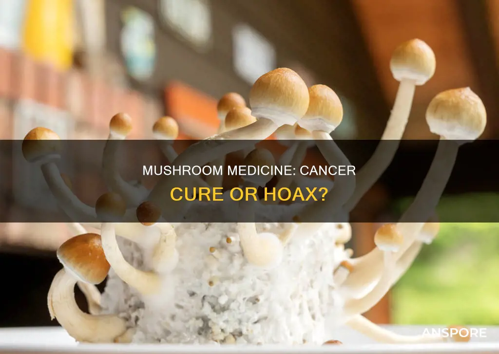 could mushroom cancer cure