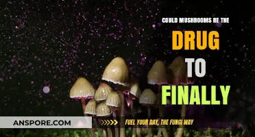 Mushrooms: The Ultimate Mind-Healing Medicine?