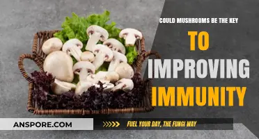Mushrooms: Unlocking the Secrets to a Stronger Immune System