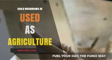 Mushrooms as Sustainable Agriculture: Unlocking Potential for Eco-Friendly Farming