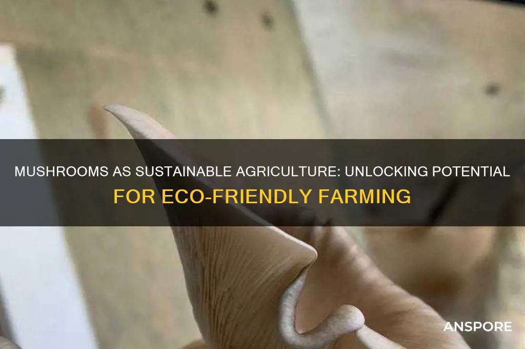 could mushrooms be used as agriculture