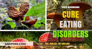 Mushrooms' Potential Role in Treating Eating Disorders: A New Hope?