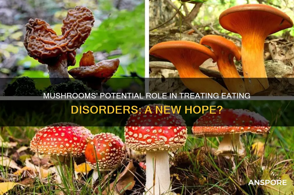 could mushrooms cure eating disorders