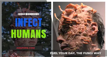 Mushrooms: Can They Infect Humans?