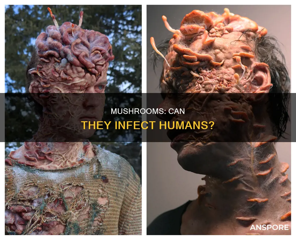 could mushrooms infect humans