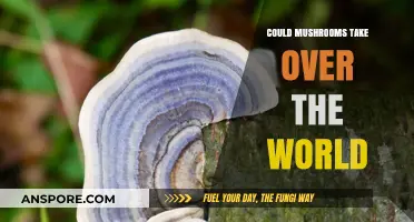 Mushrooms: The World's Future Dominant Species?