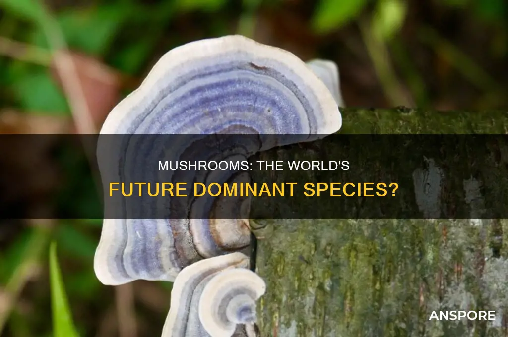 could mushrooms take over the world
