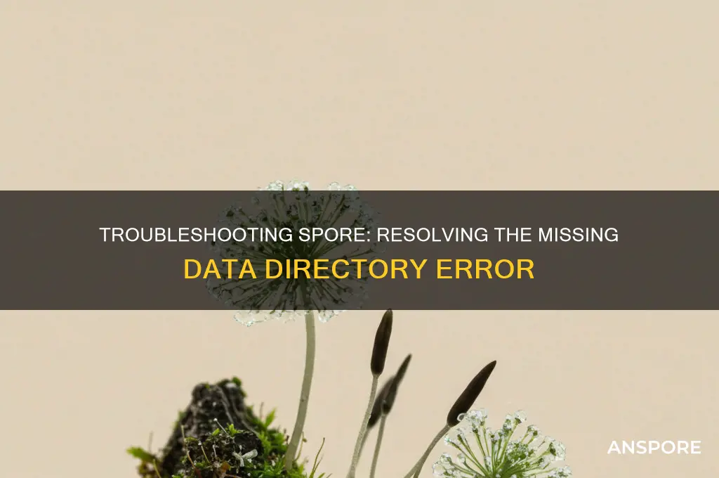 could not find the data directory spore
