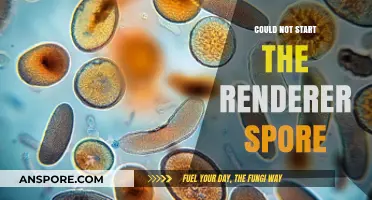 Troubleshooting 'Could Not Start the Renderer' Error in Spore: A Guide