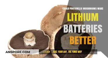 Portobello Mushrooms: A Sustainable Boost for Lithium Battery Performance?