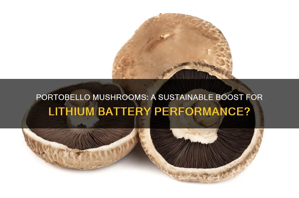 could portobello mushrooms make lithium batteries better