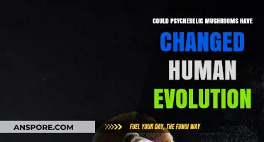 Psychedelic Mushrooms: Ancient Humans' Evolutionary Advantage?