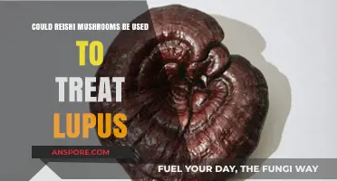 Reishi Mushrooms: A Potential Natural Treatment for Lupus Symptoms?