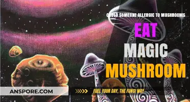 Can Mushroom Allergy Sufferers Safely Consume Magic Mushrooms?