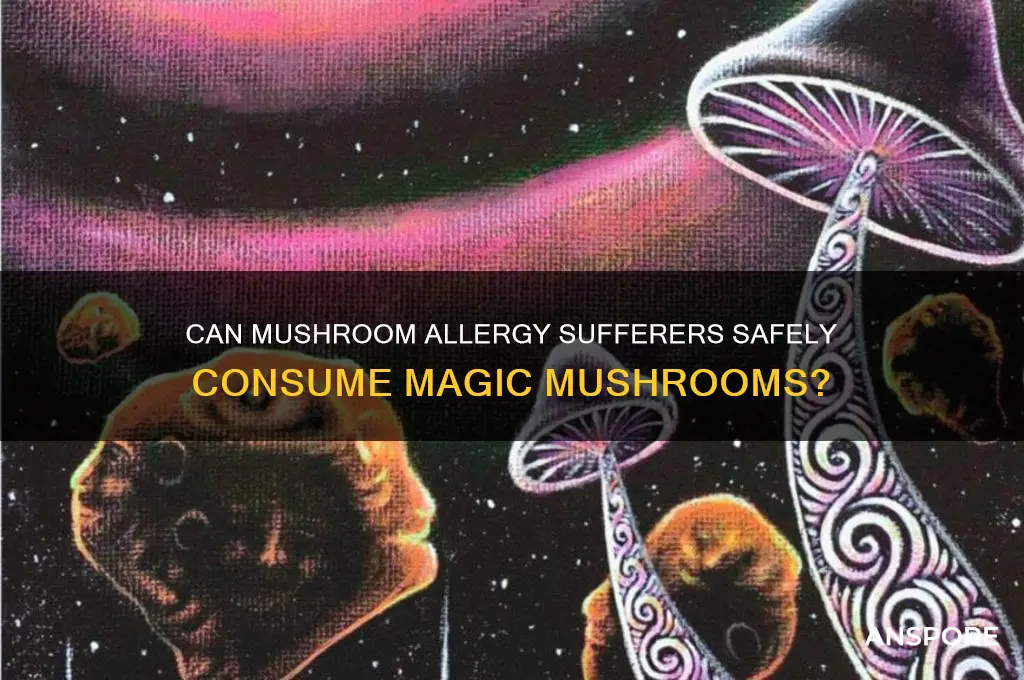could someone allergic to mushrooms eat magic mushrooms