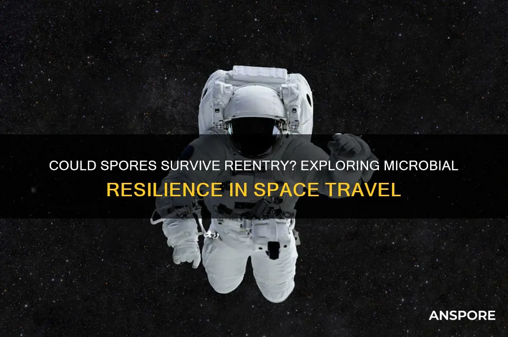 could spores survive reentry