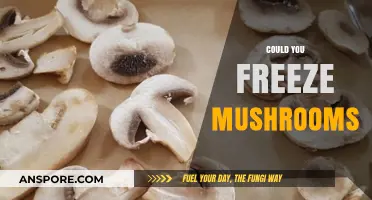 Freezing Mushrooms: A Smart Way to Store Them?