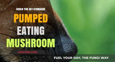 Can Eating Mushrooms Lead to Stomach Pumping? Facts Revealed
