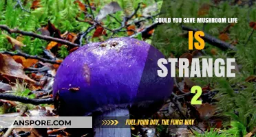 How Saving Mushroom Changed Life is Strange 2