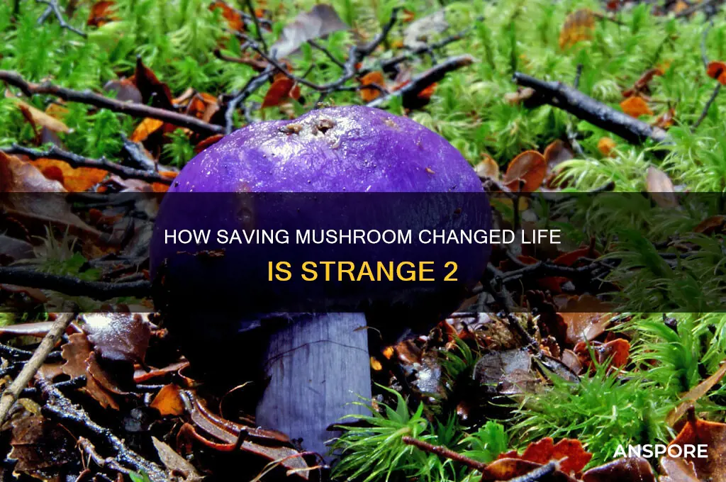 could you save mushroom life is strange 2