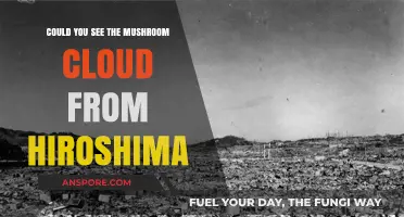 Hiroshima's Mushroom Cloud: A Terrifying Sight for Survivors